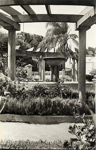 Hammam bou hadjar 508- Pergola  COLLECTION DES AMIS DE ND DE SANTA CRUZ